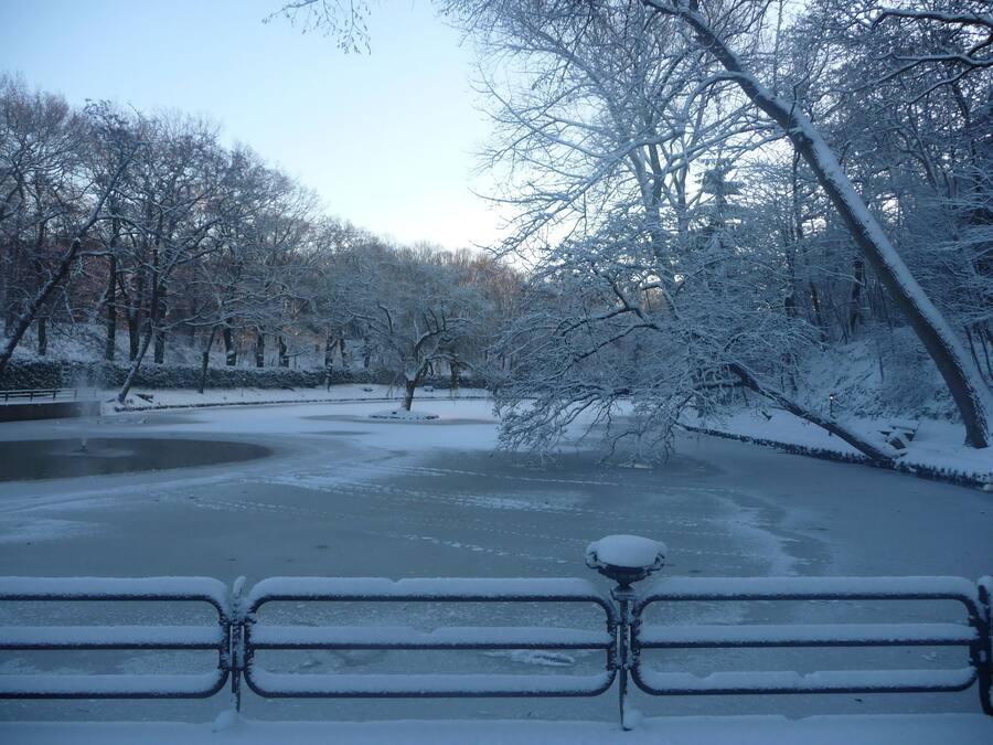Un parque cubierto de nieve con un estanque congelado, árboles desnudos y una barandilla metálica al frente.