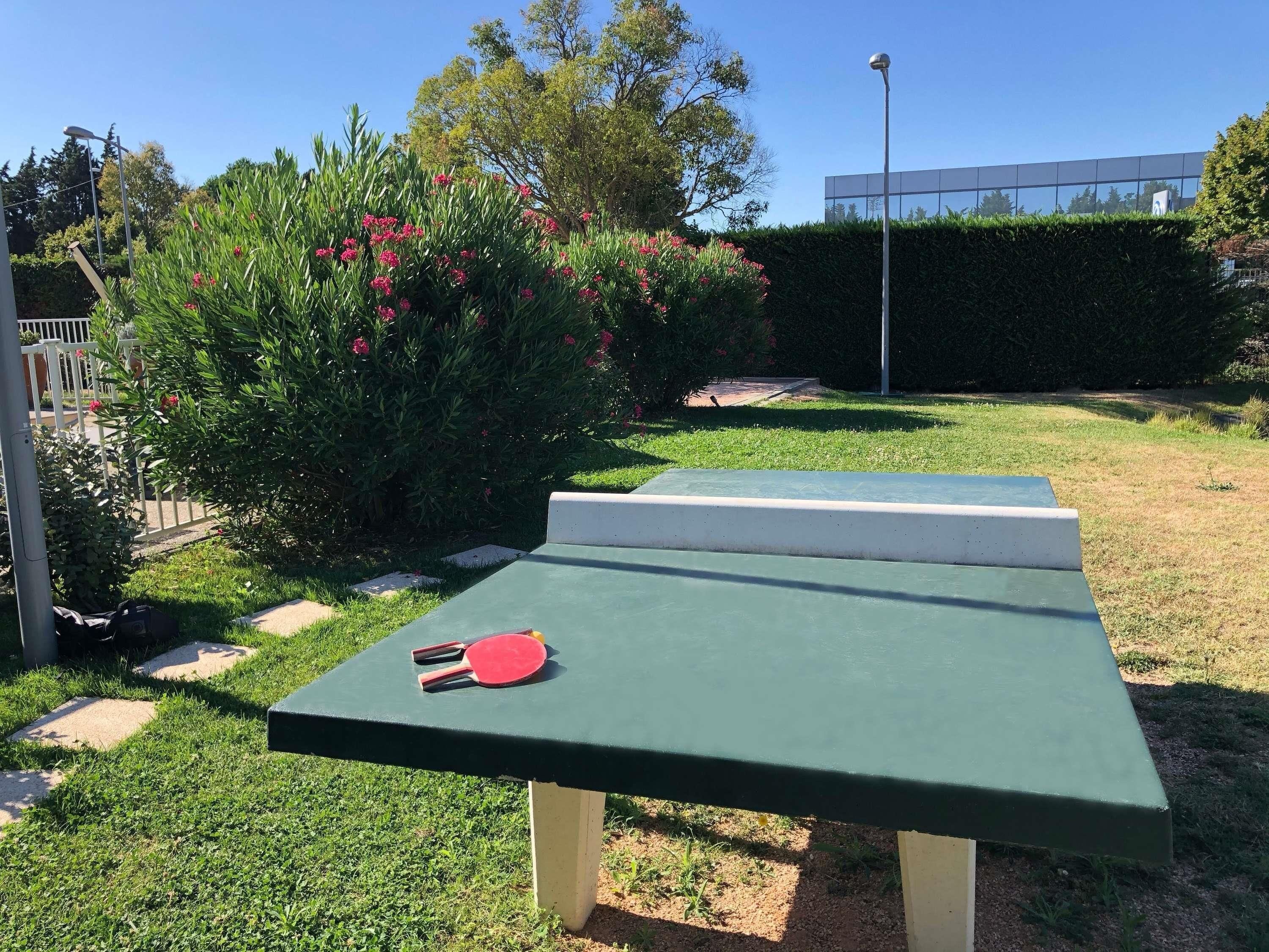 A green outdoor table with a red paddle, surrounded by grass and bushes.