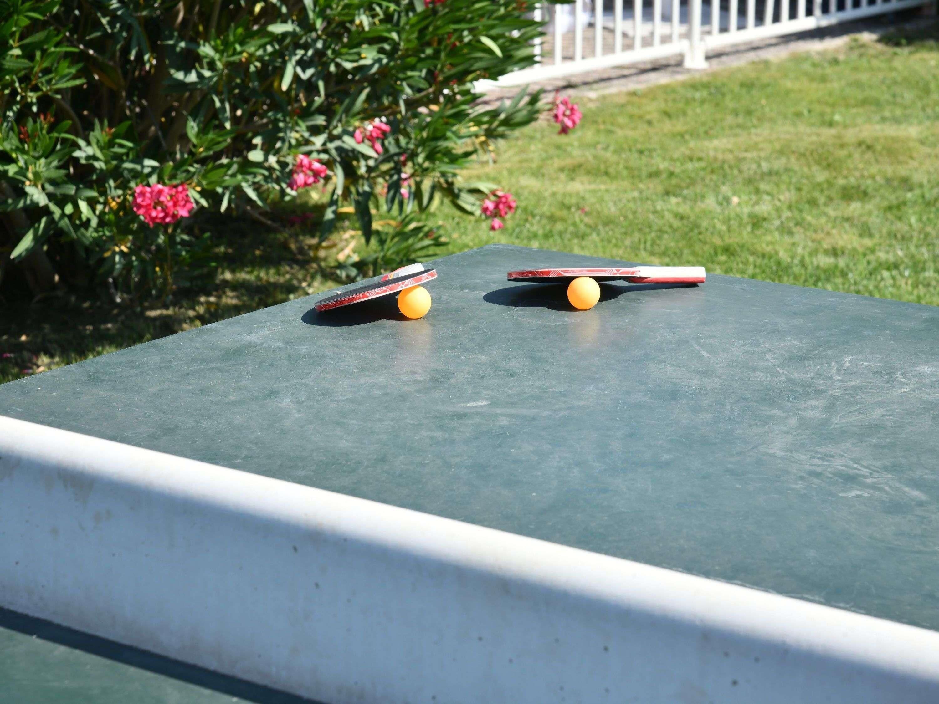 Une table de ping-pong avec deux raquettes et une balle, entourée d’un jardin où poussent des fleurs roses.