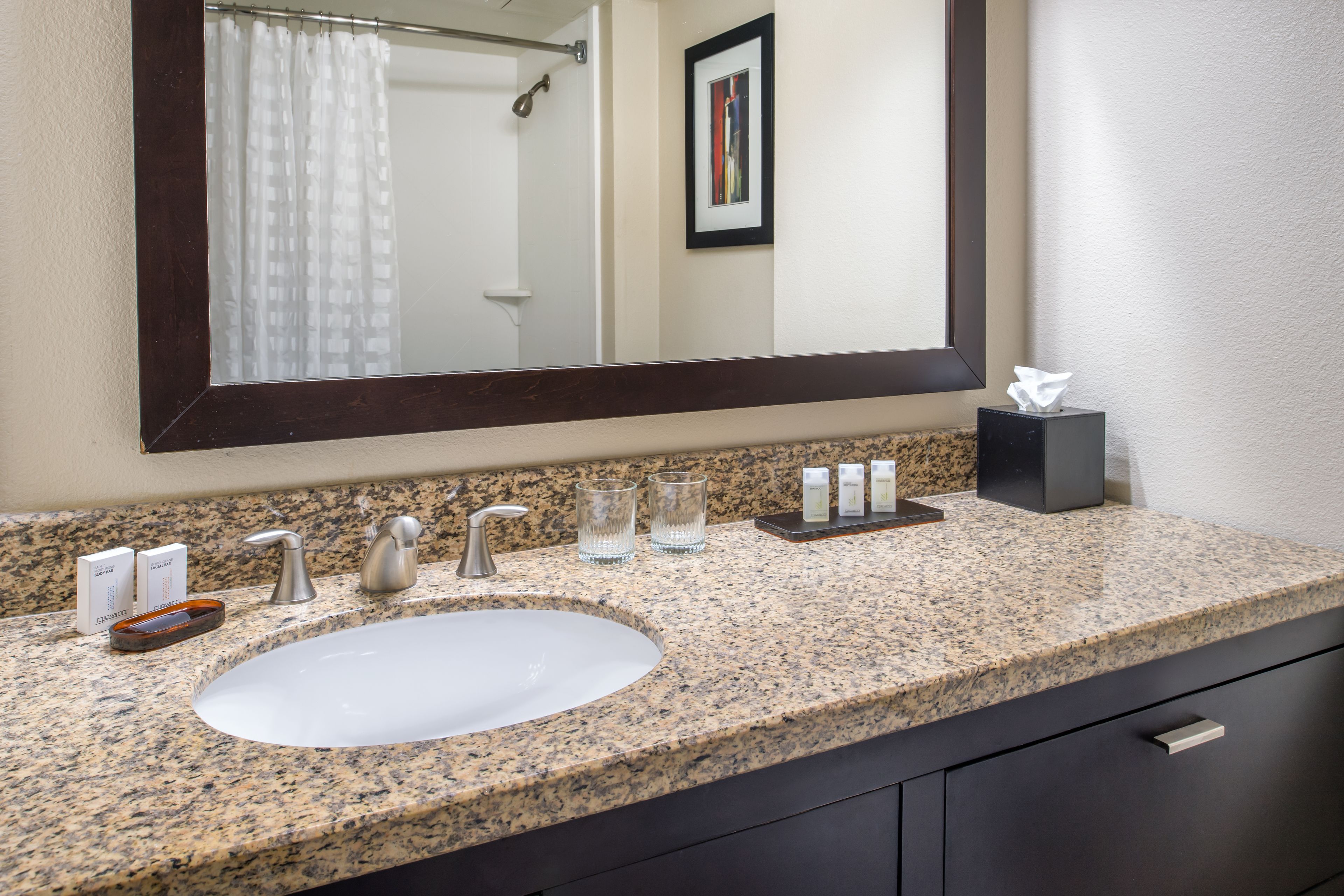A bathroom with a granite countertop, a white sink, a large mirror, a framed picture on the wall, and a tissue box.