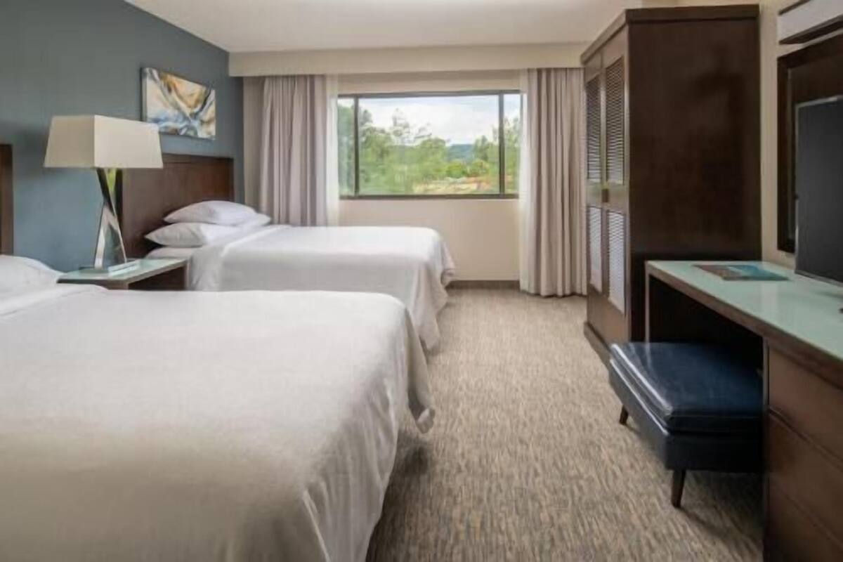 Premium bedding, down comforters, pillowtop beds, in-room safe