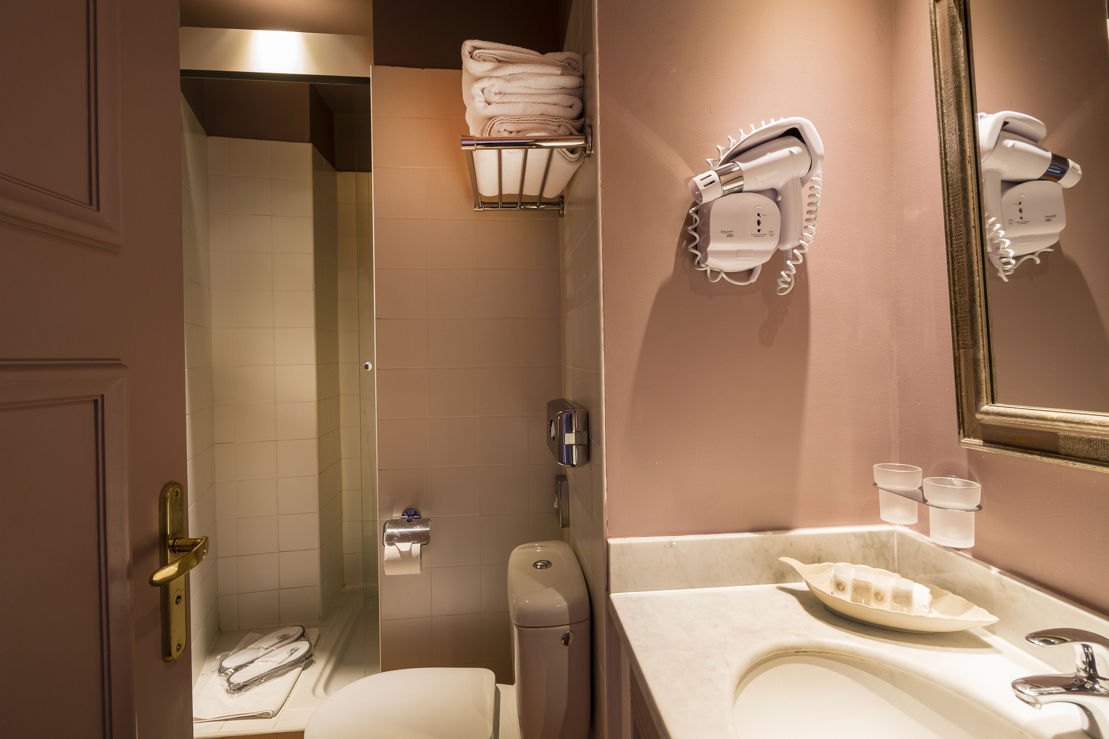 standard room (free wine tasting) | bathroom shower