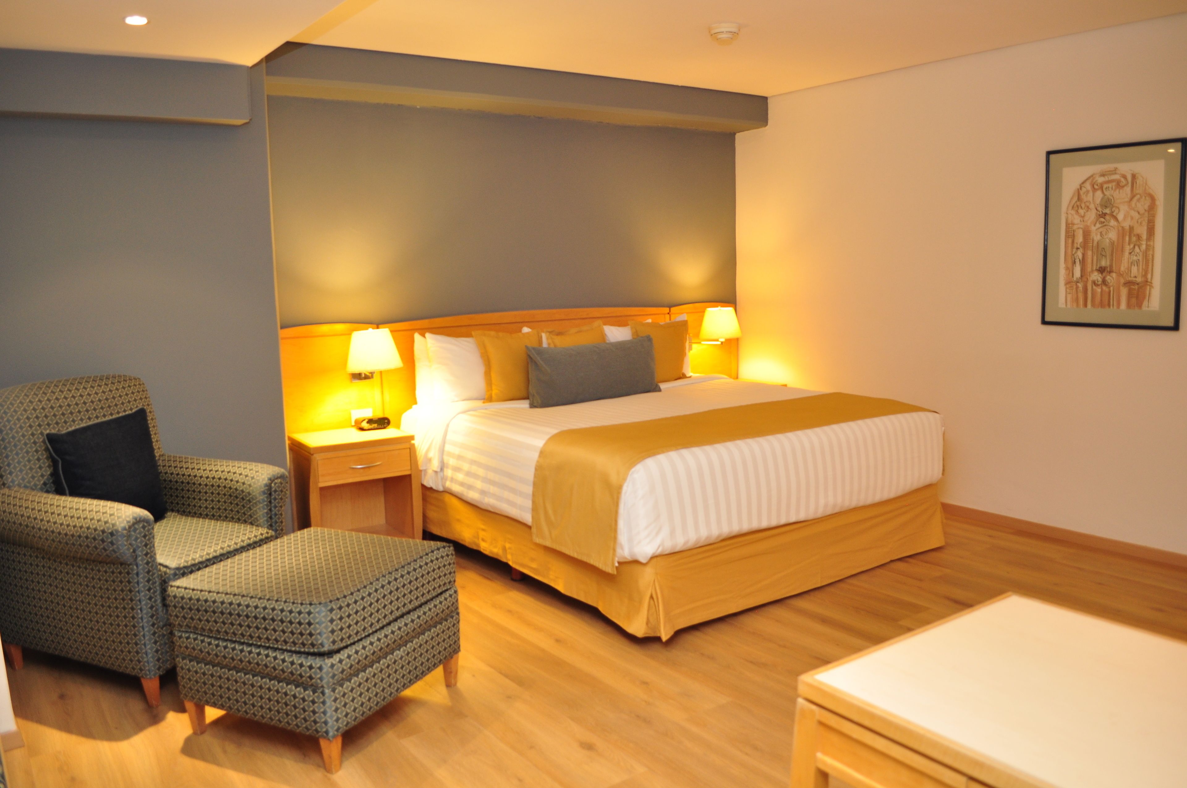 room, 1 king bed, non smoking | in-room safe, iron/ironing board, free wifi, bed sheets