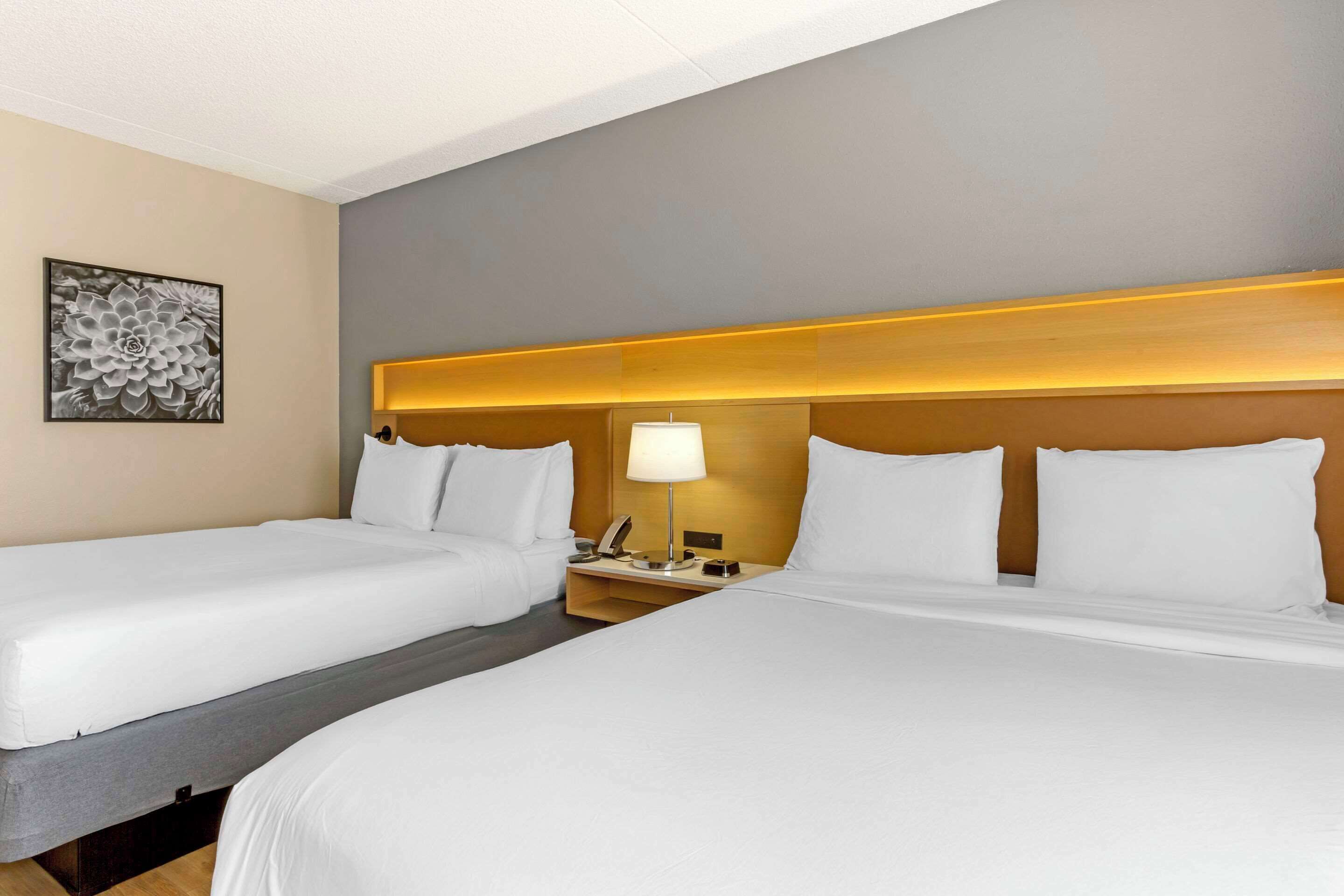 Habitación de hotel con dos camas, una mesita de noche con lámpara y una obra de arte colgada en la pared.