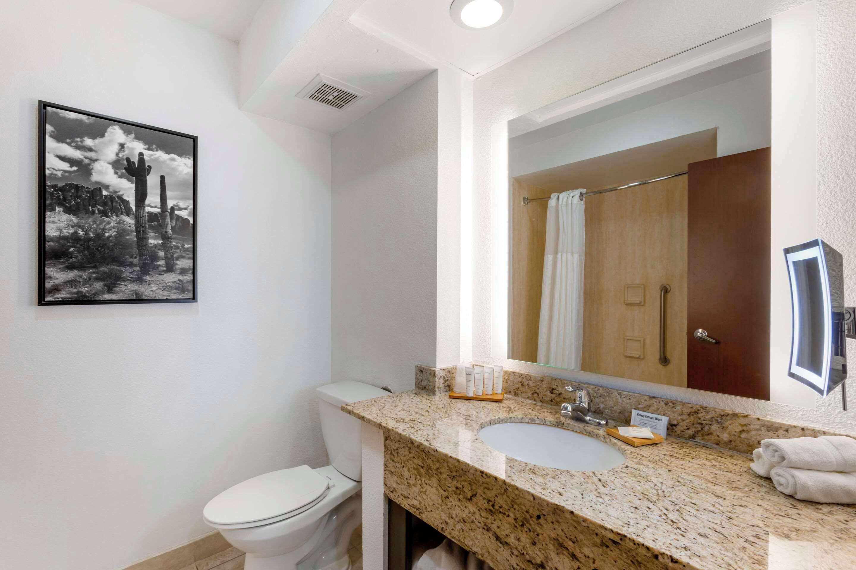 Ein Badezimmer mit einer weißen Toilette, einem Granitwaschbecken, einem großen Spiegel und einem gerahmten Schwarz-Weiß-Foto an der Wand.