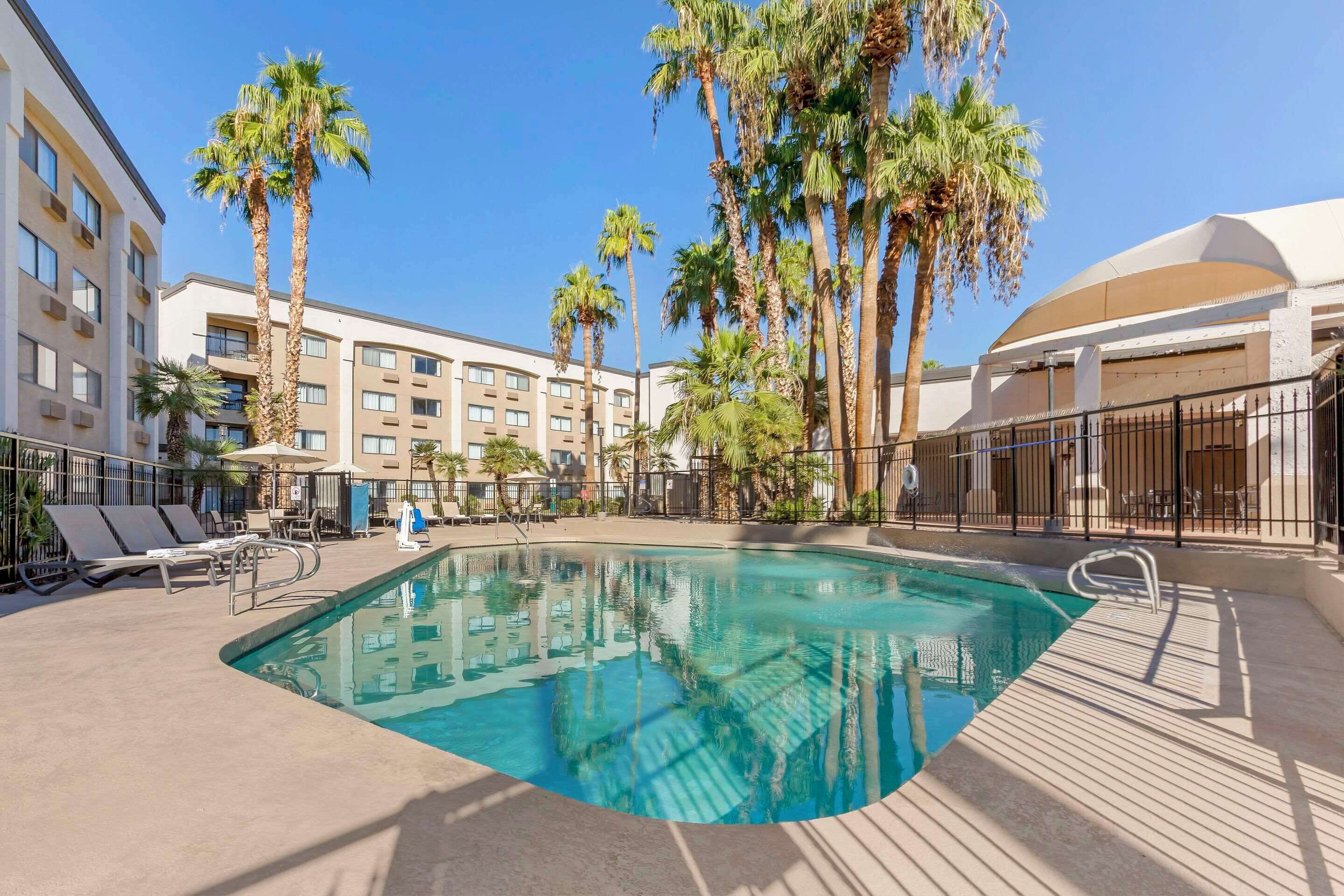 A hotel pool area with palm trees, lounge chairs, and a clear blue pool.