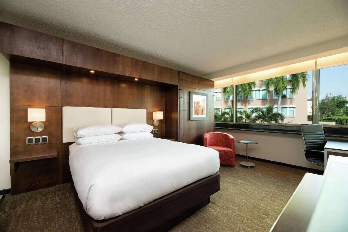 A hotel room with a large bed, bedside lamps, a red chair, a desk, and a view of palm trees through large windows.