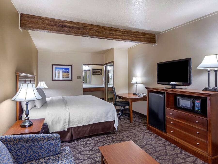 A hotel room with a bed, desk, television, and a sofa.