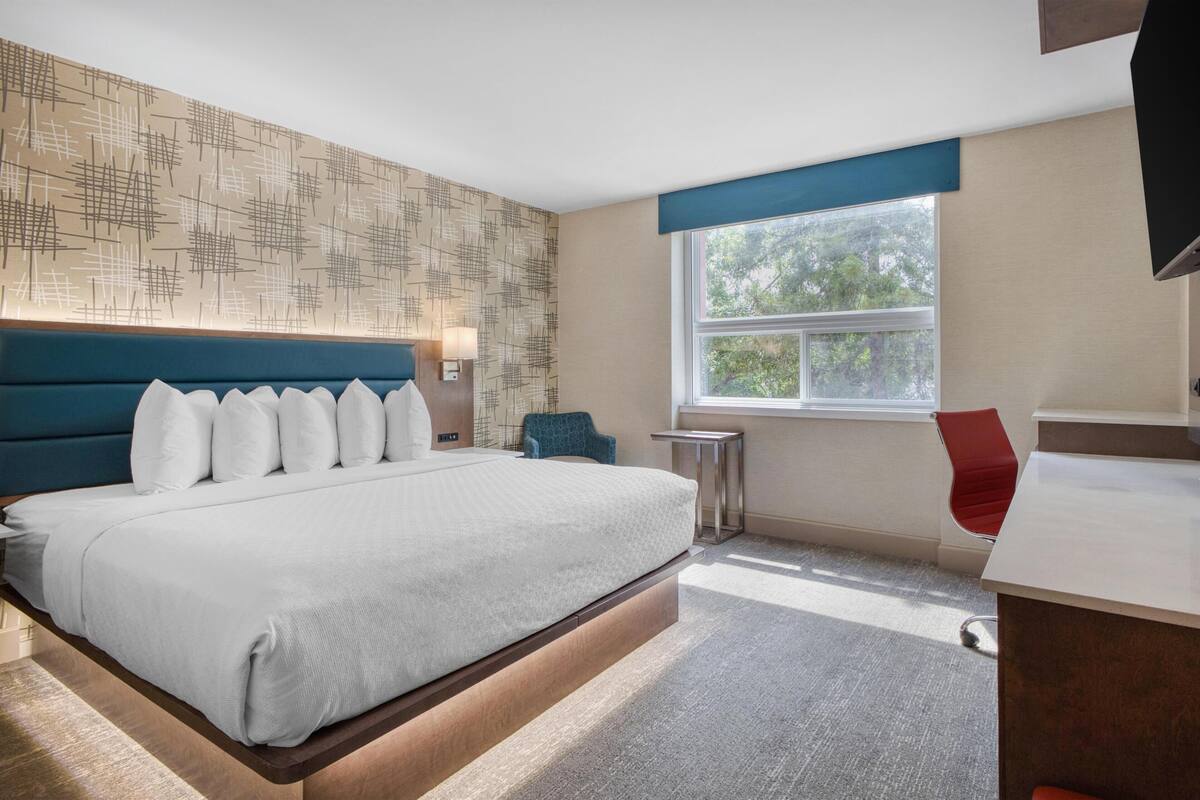 Ropa de cama de alta calidad, escritorio, tabla de planchar con plancha