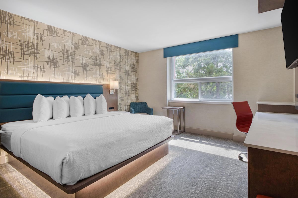 Premium bedding, desk, iron/ironing board, WiFi (free)