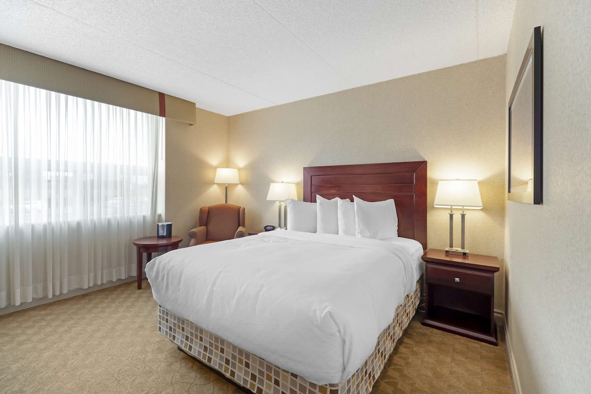 Premium bedding, desk, iron/ironing board, free WiFi