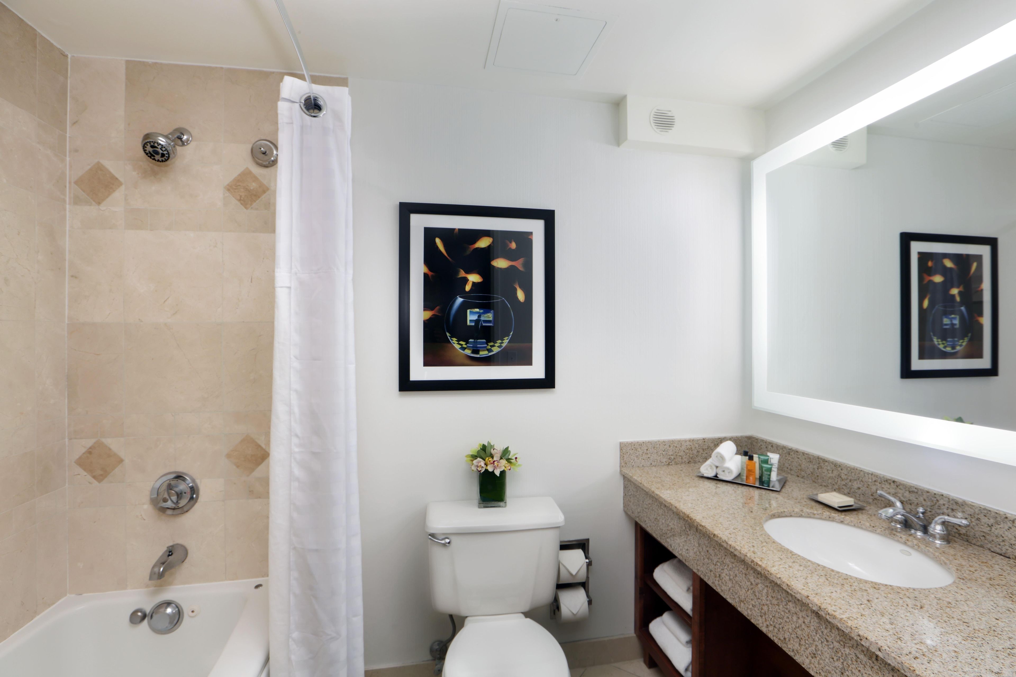 Un baño con bañera, inodoro, lavabo y dos cuadros enmarcados en la pared.