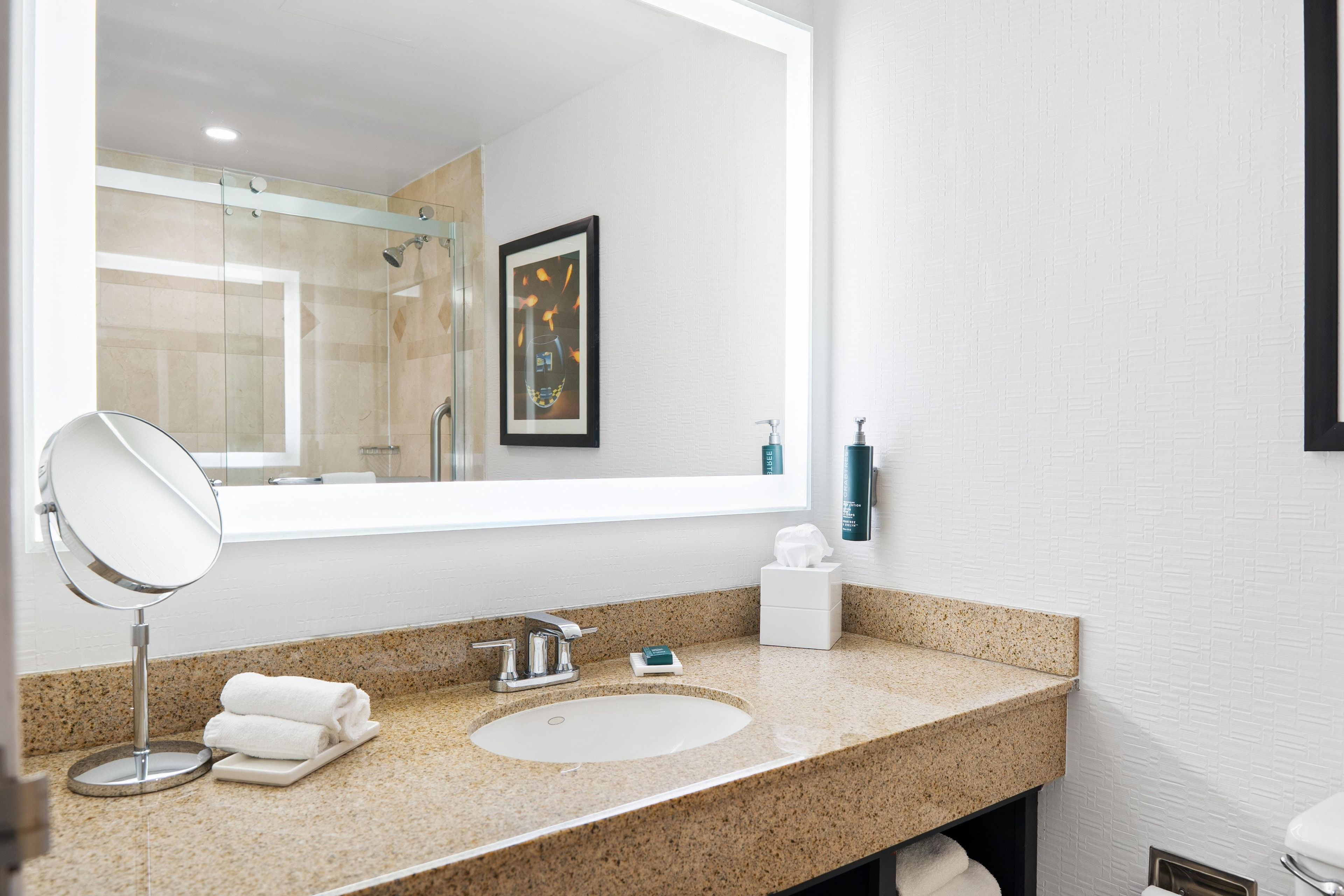Un baño con encimera de granito, un lavamanos blanco, un espejo, una obra de arte enmarcada y un perchero para toallas.