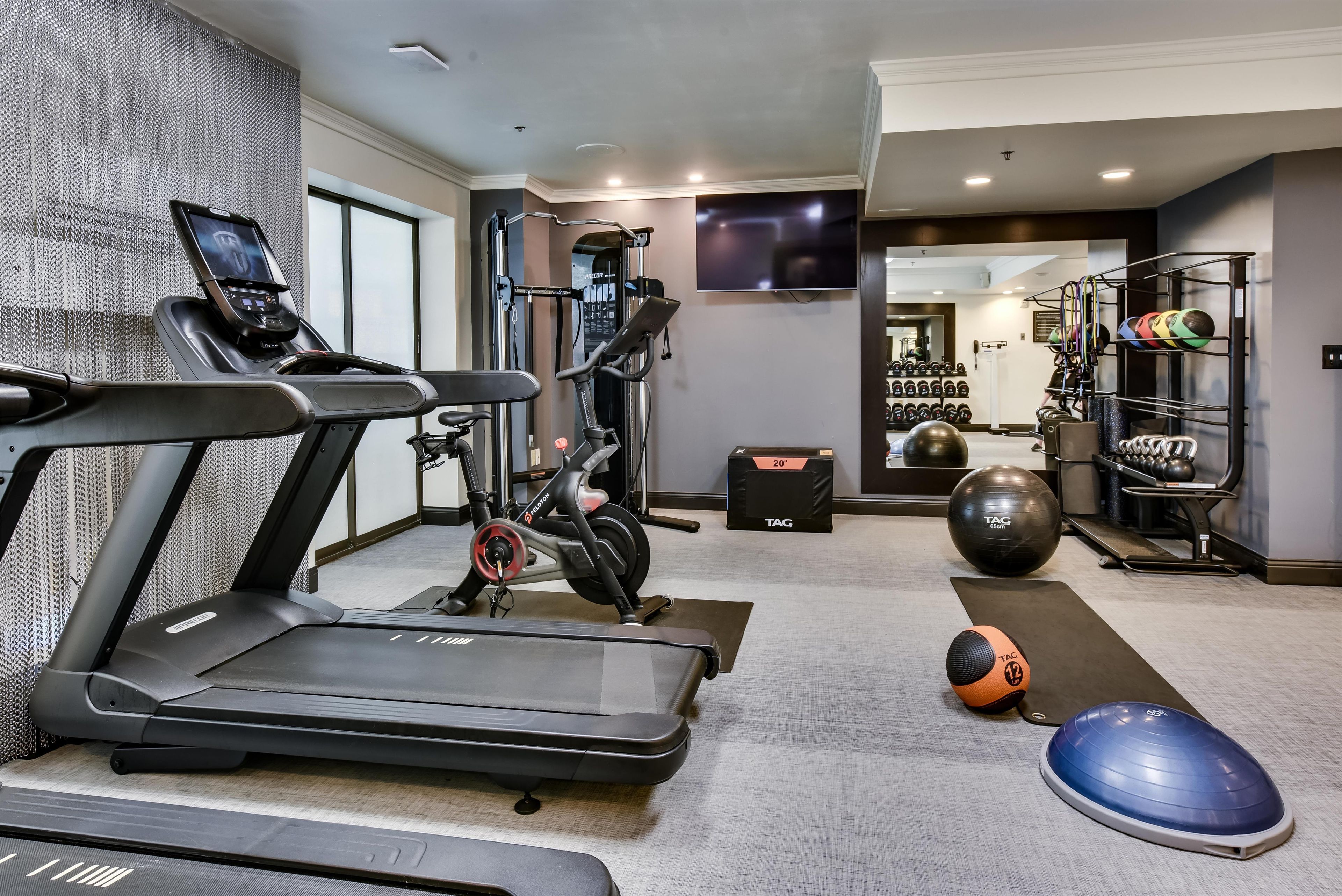 A home gym with a treadmill, stationary bike, exercise balls, and weight plates.