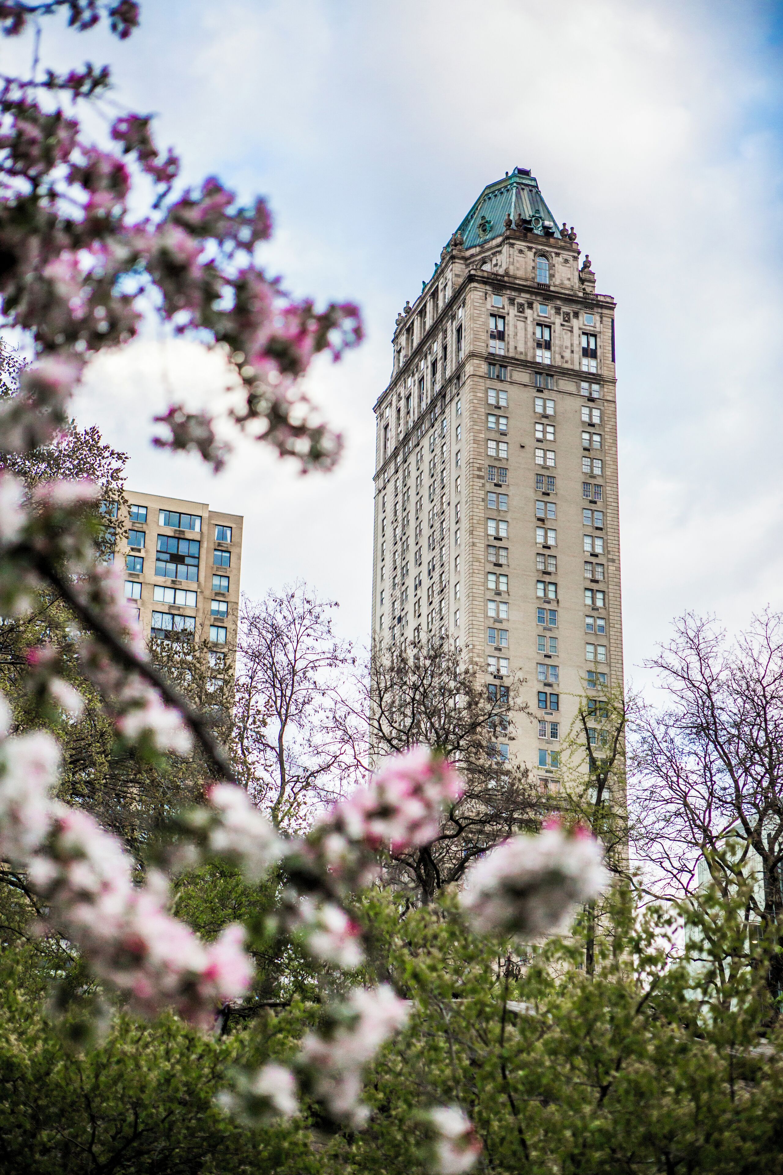 Un edificio alto con techo verde y numerosas ventanas, rodeado de árboles con flores rosadas.