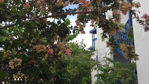 A pathway flanked by lush greenery and flowering plants leading to a building with blue accents.