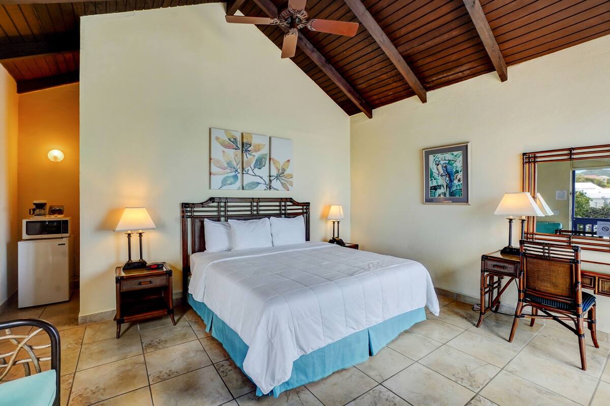 Standard Single Room, 1 King Bed