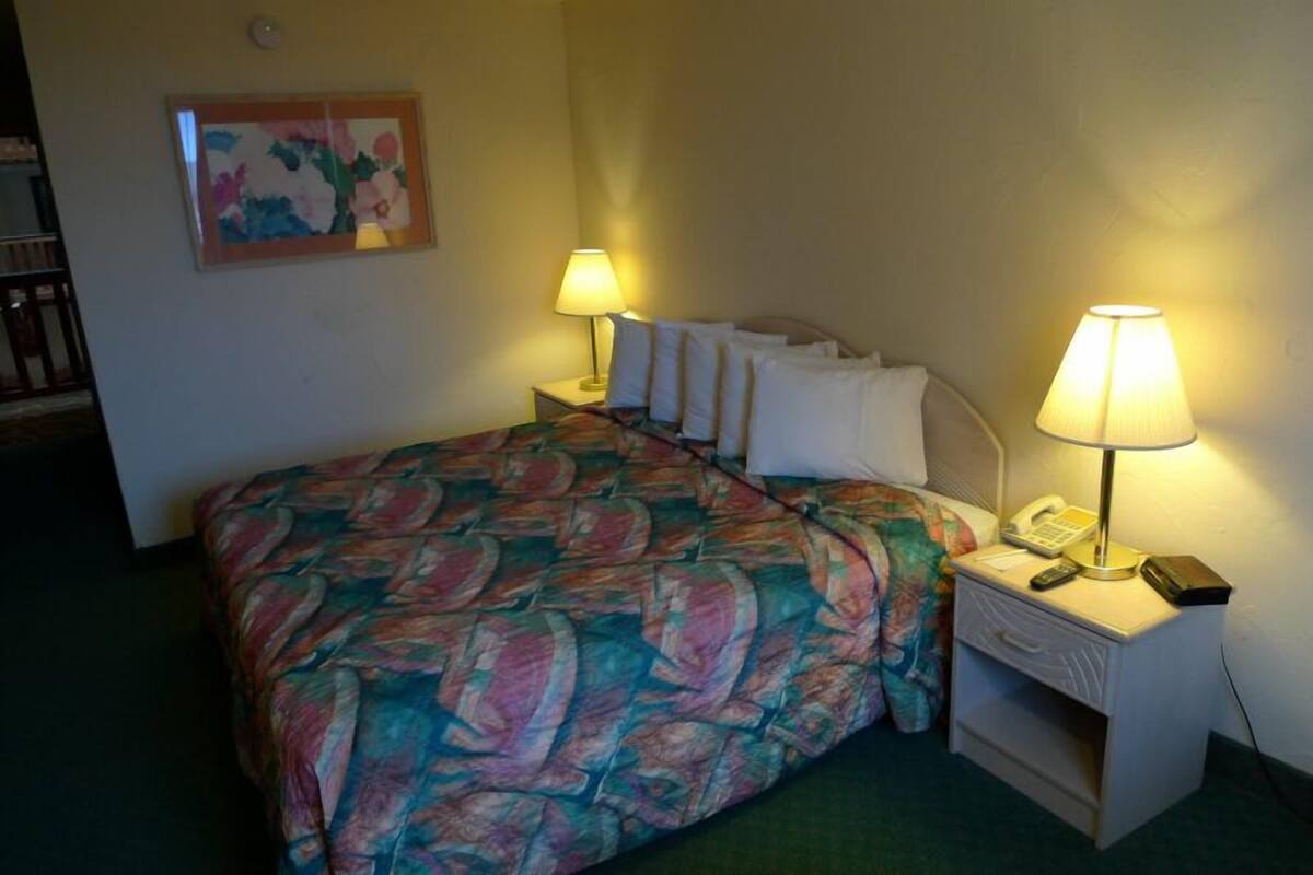Economy Room, 1 King Bed, Pool View | Premium bedding, desk, blackout drapes