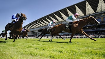 Une course de chevaux est en cours, avec des jockeys à cheval, une foule en arrière-plan et une structure de stade.