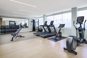 A gym with treadmills, elliptical machines, and free weights. - DoubleTree Beach Resort by Hilton Tampa Bay - North Redingto (North Redington Beach)