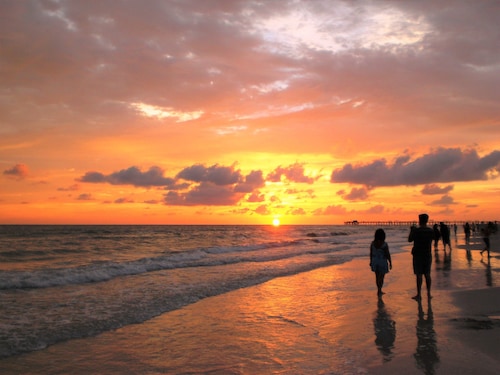 DoubleTree Beach Resort by Hilton Tampa Bay - North Redingto