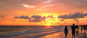 DoubleTree Beach Resort by Hilton Tampa Bay - North Redingto