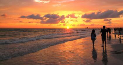 DoubleTree Beach Resort by Hilton Tampa Bay - North Redingto