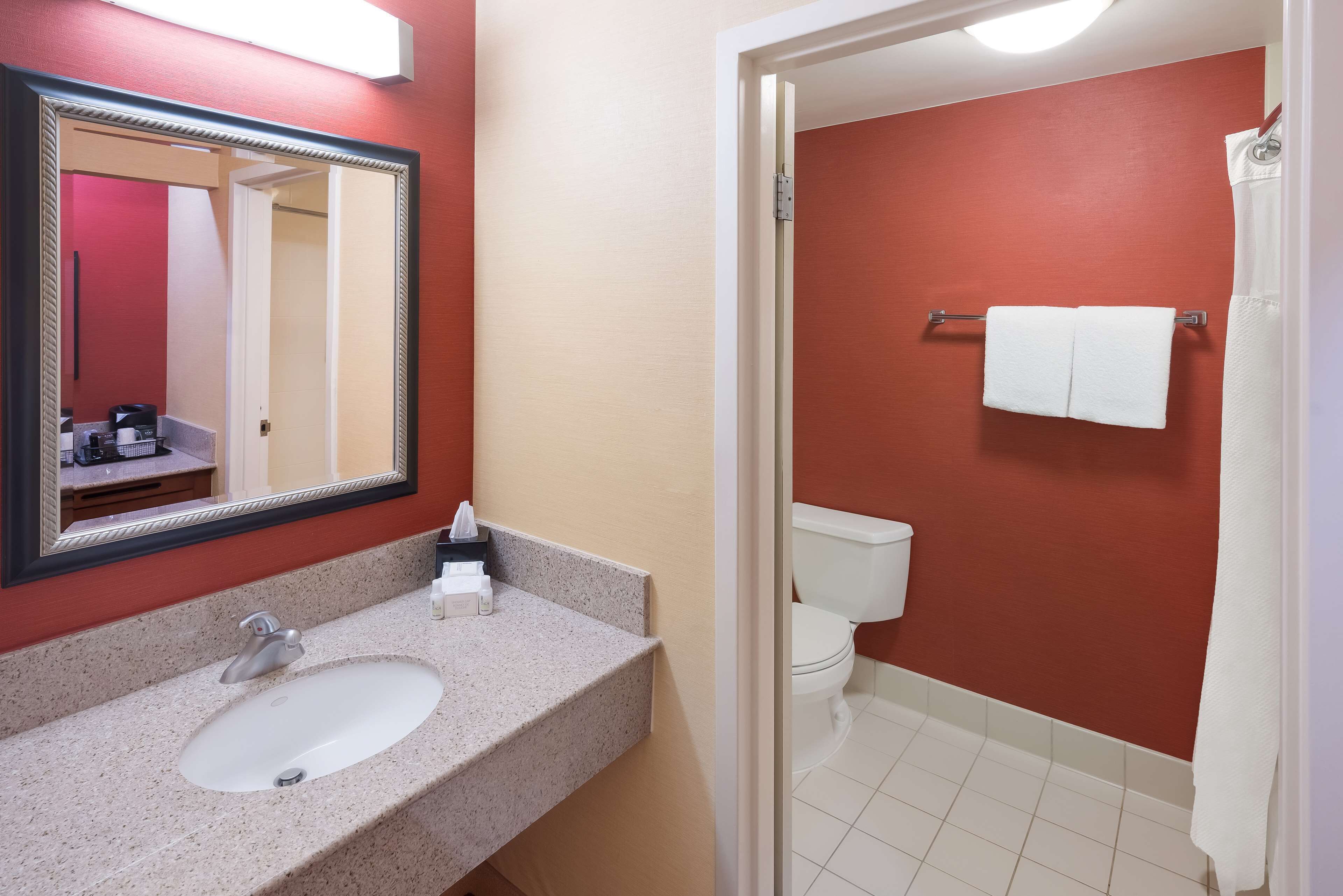 A bathroom with a sink, mirror, and toilet.
