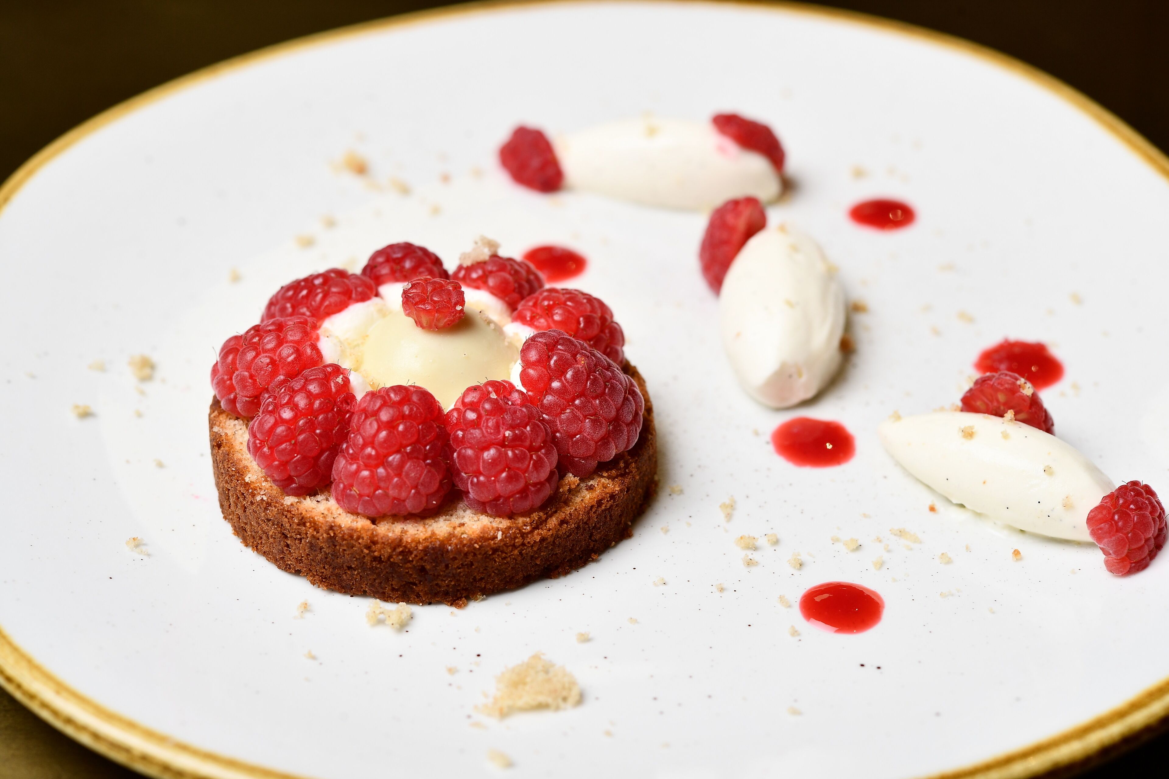 A dessert with raspberries and a scoop of ice cream on a plate.