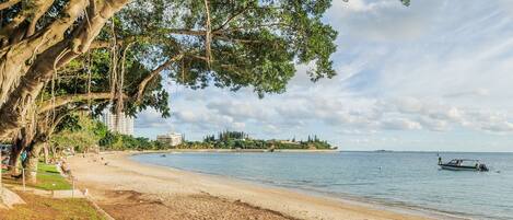 A beach with a tree-lined walkway, a sandy shore, and a calm sea.