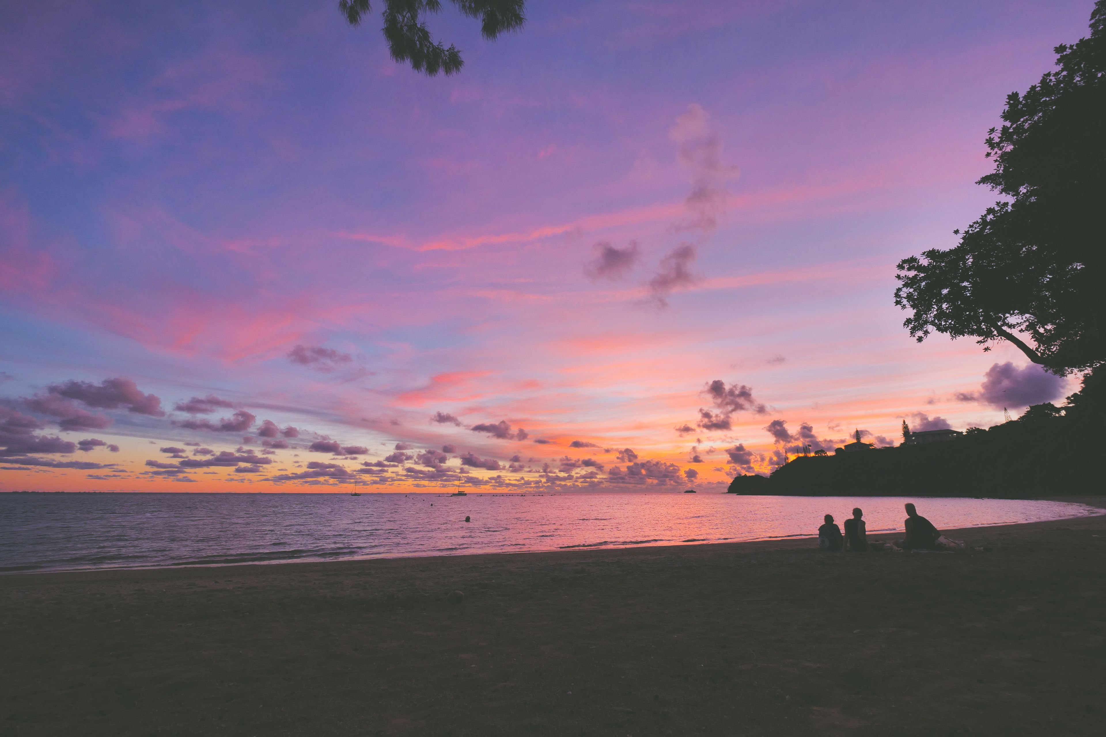 A beach scene with a sunset, silhouettes of people, and a tree on the right.