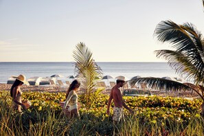 Vue sur la plage ou l’océan