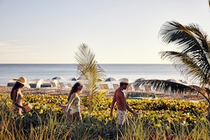 Beach/ocean view
