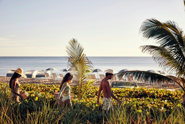 A beach scene with people, palm trees, and beach umbrellas.