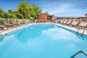 Una piscina al aire libre, sombrillas, sillones reclinables de piscina