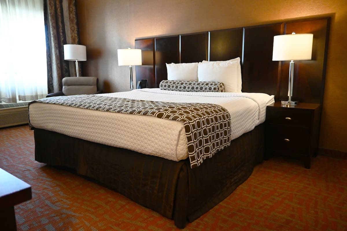 Standard Single Room, 1 King Bed | Premium bedding, in-room safe, desk, laptop workspace