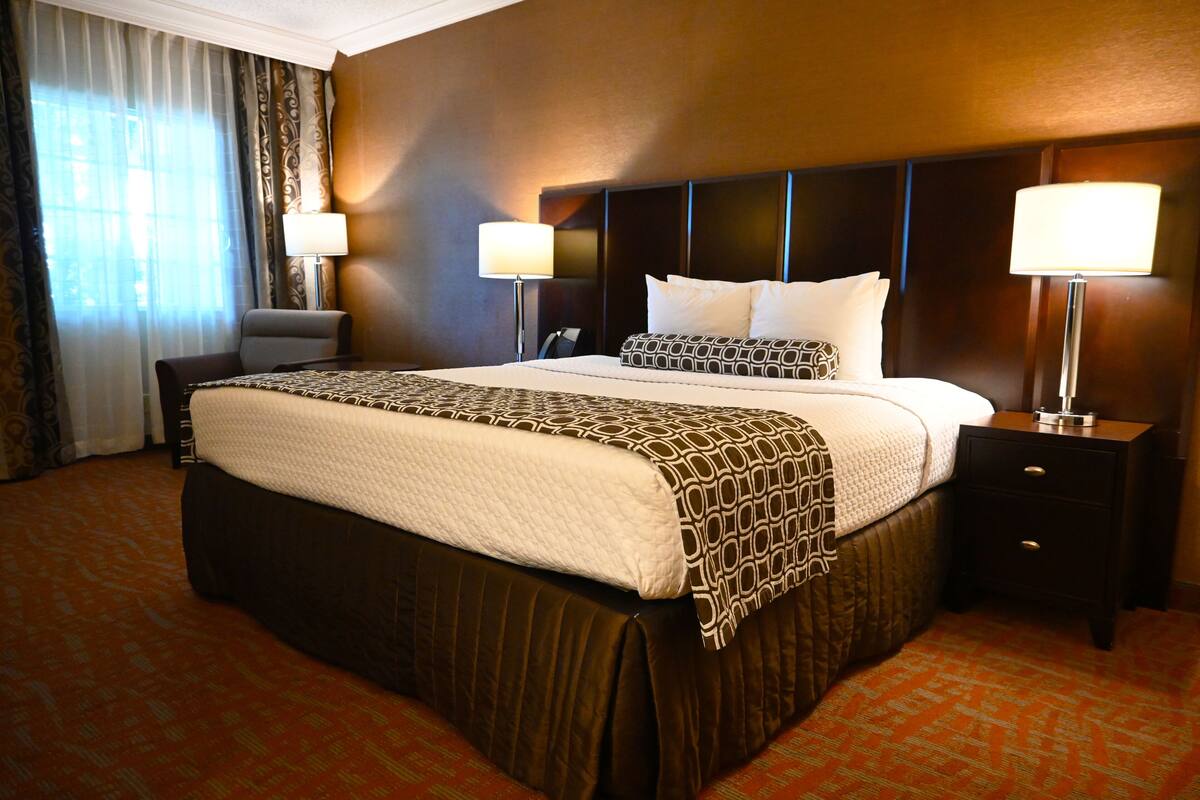 Standard Single Room, 1 King Bed, Accessible | Premium bedding, in-room safe, desk, laptop workspace