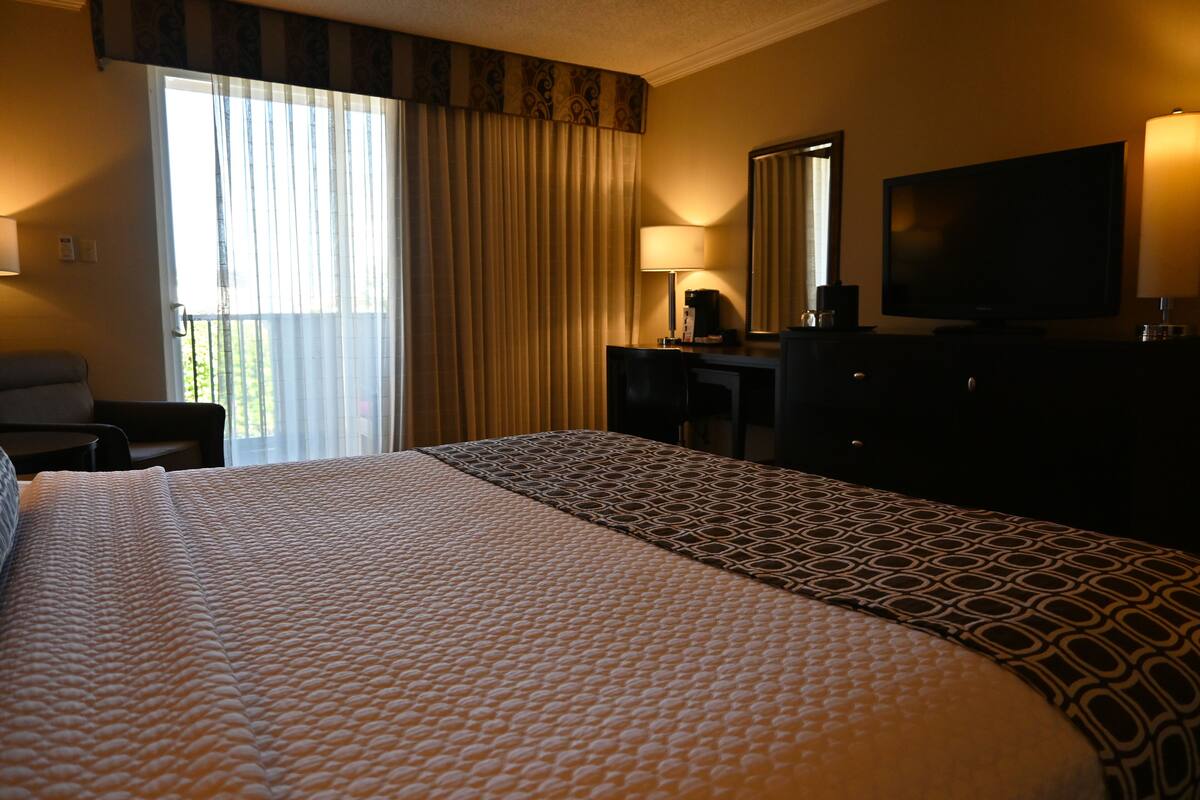 Standard Single Room, 1 King Bed, Balcony (Pet Friendly - Fee Applies) | Premium bedding, in-room safe, desk, laptop workspace