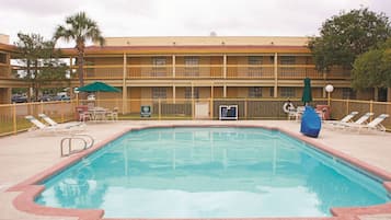 Outdoor pool, pool umbrellas, pool loungers