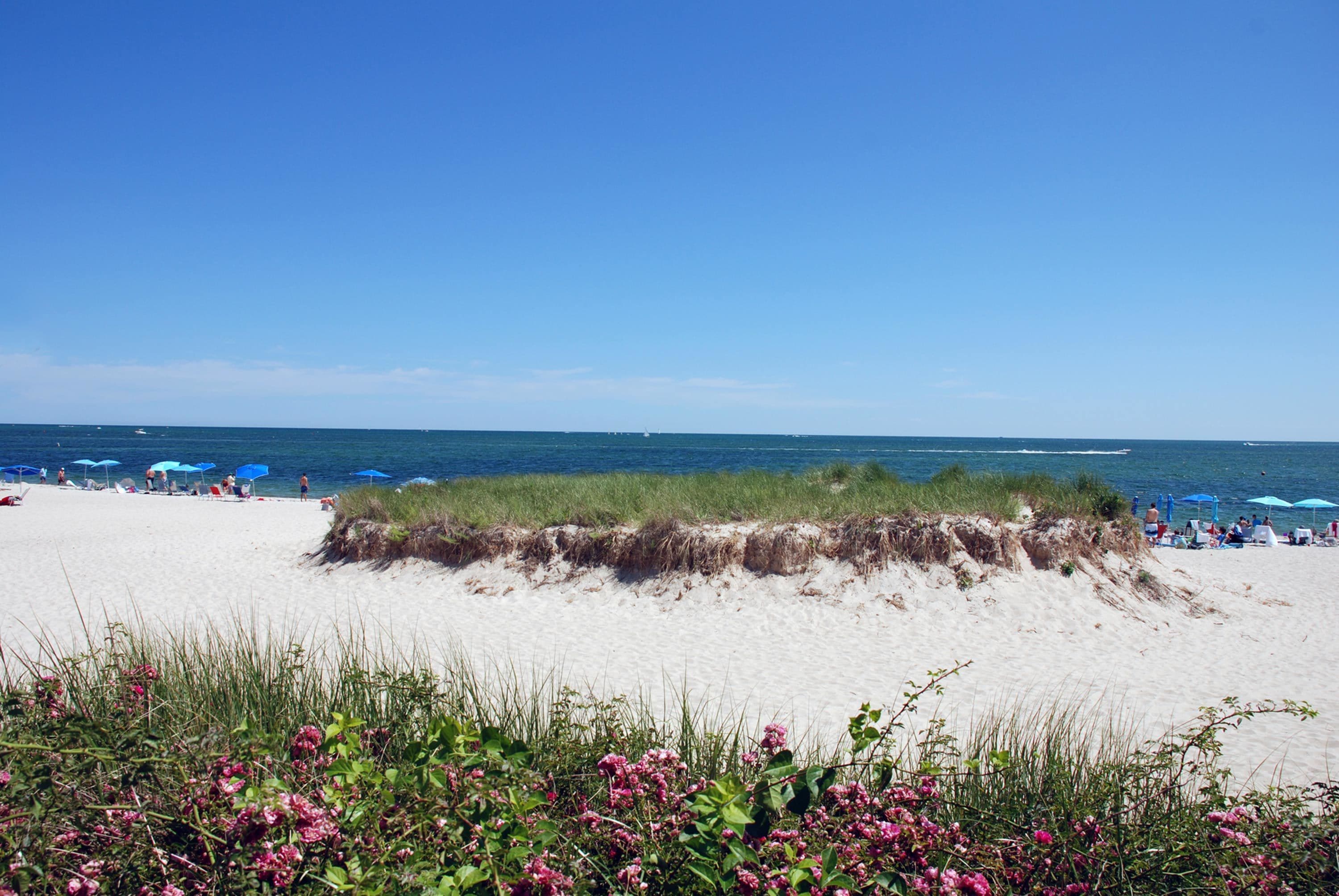 A beach with sand dunes, beach umbrellas, and people.