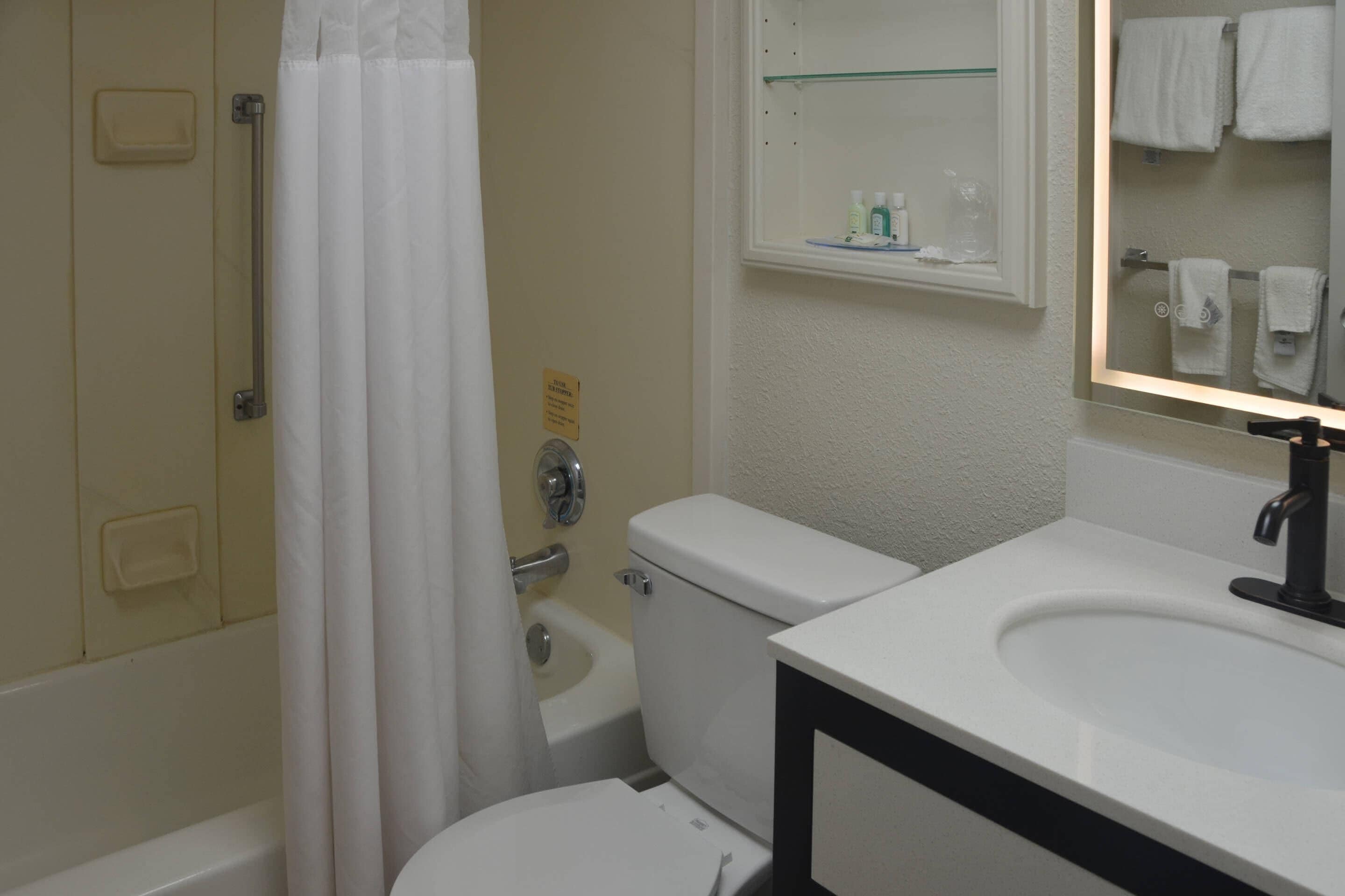 A bathroom with a toilet, a sink, and a mirror.