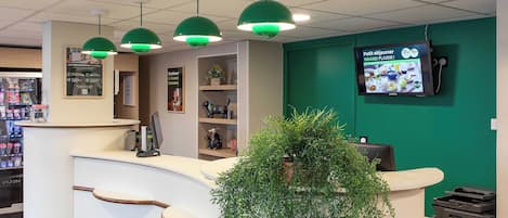 A reception area with a curved counter, green pendant lights, a television screen, and a potted plant.
