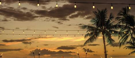 A sunset view with palm trees and string lights.