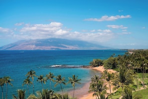 A beach with palm trees, a clear sky, and a mountain in the background. - Wailea Beach Resort - Marriott, Maui (Kihei)