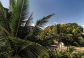 A tropical resort with palm trees, a paved walkway, and a building in the background.