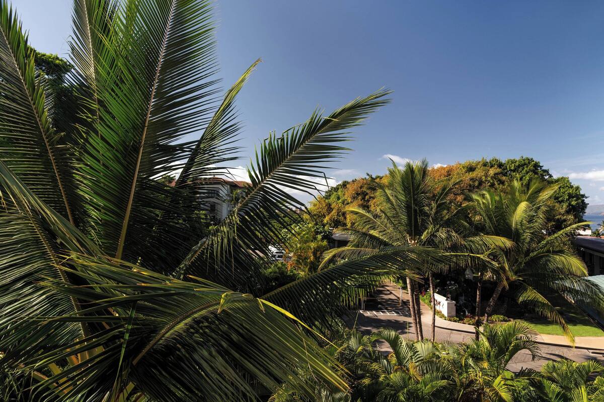 Un complexe hôtelier tropical avec des palmiers, une allée pavée et un bâtiment en arrière-plan.