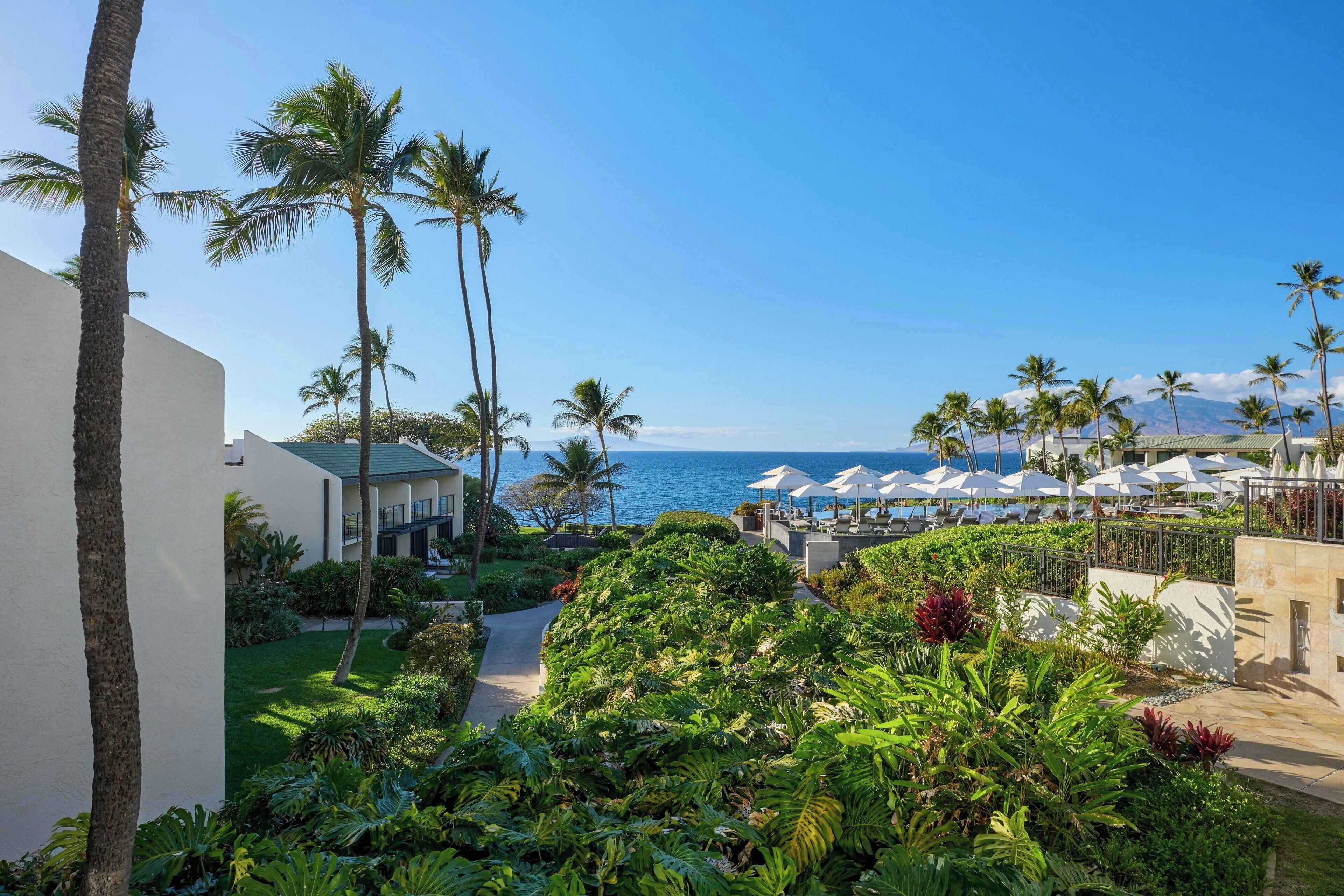 A resort with a pool, palm trees, and a view of the ocean.