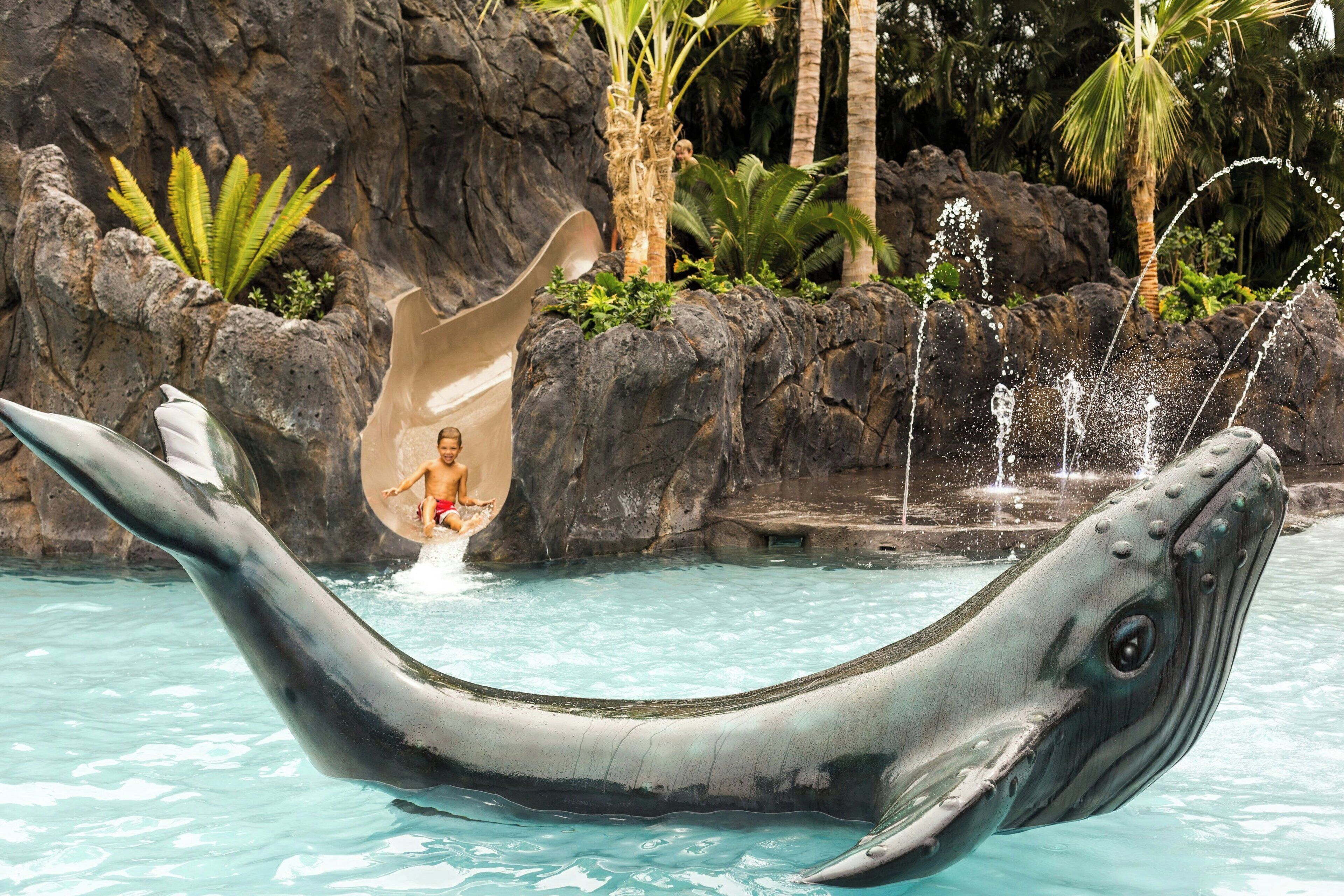 A dolphin-shaped water slide in a pool with a rocky backdrop and palm trees.
