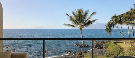 A room with a large window overlooking a beach with palm trees and a rocky shoreline.