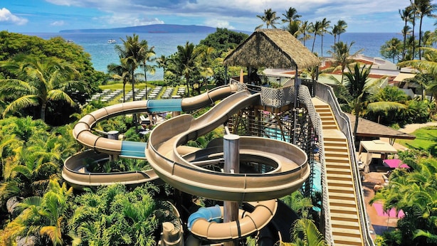 A water park with multiple slides and a pool area surrounded by lush greenery and palm trees. - Wailea Beach Resort - Marriott, Maui (Kihei)